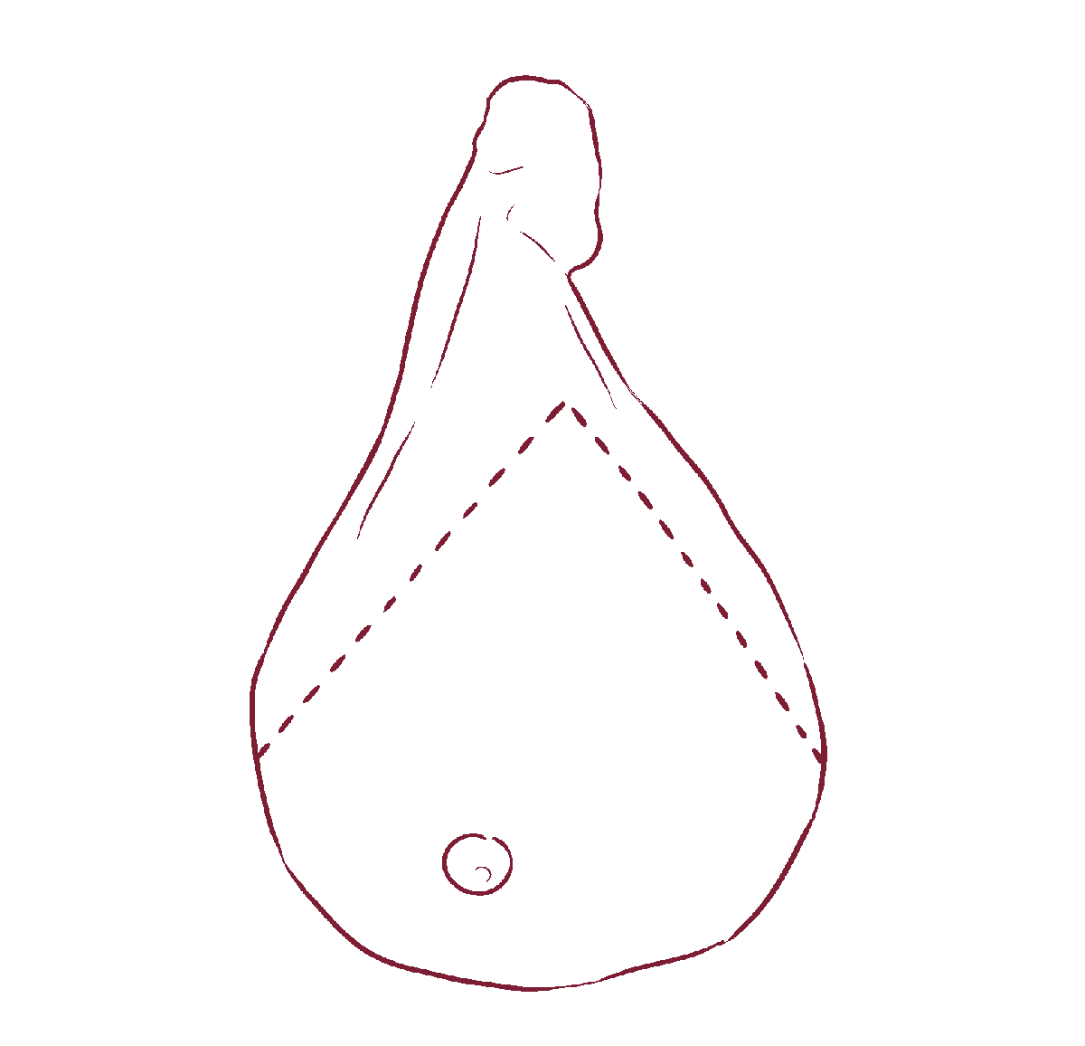 Taglio a V del Prosciutto Toscano DOP — caratteristica distintiva della tradizione Ghelli S.p.A.